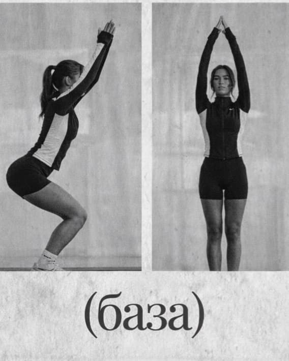 Basic Biomechanics